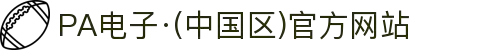 PA电子·(中国区)官方网站"